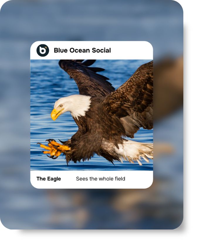 A bald eagle flying low over blue water with talons extended, ready to catch prey. Text reads ‘Blue Ocean Social – The Eagle: Sees the whole field.